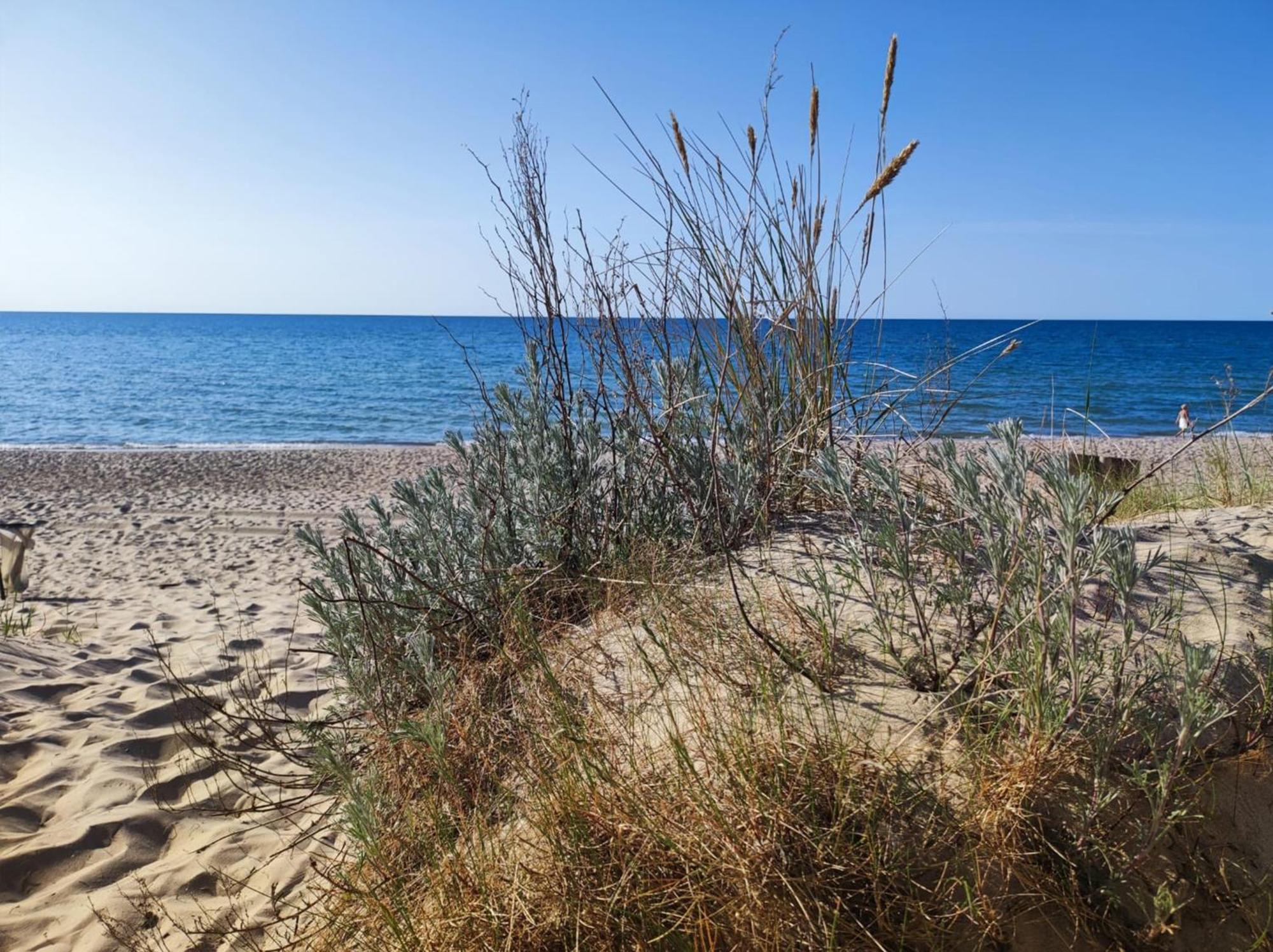 La Ola Apartamenty Mielno  Bagian luar foto